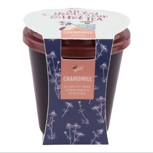 Buzzy Seeds Chamomile Tea Complete Grow Kit with Bamboo Fiber Pot NWT